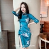 Elegant Lady Elegant Crane Flying Qipao Cheongsam Dress 3